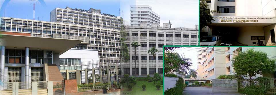 Website Slider Title